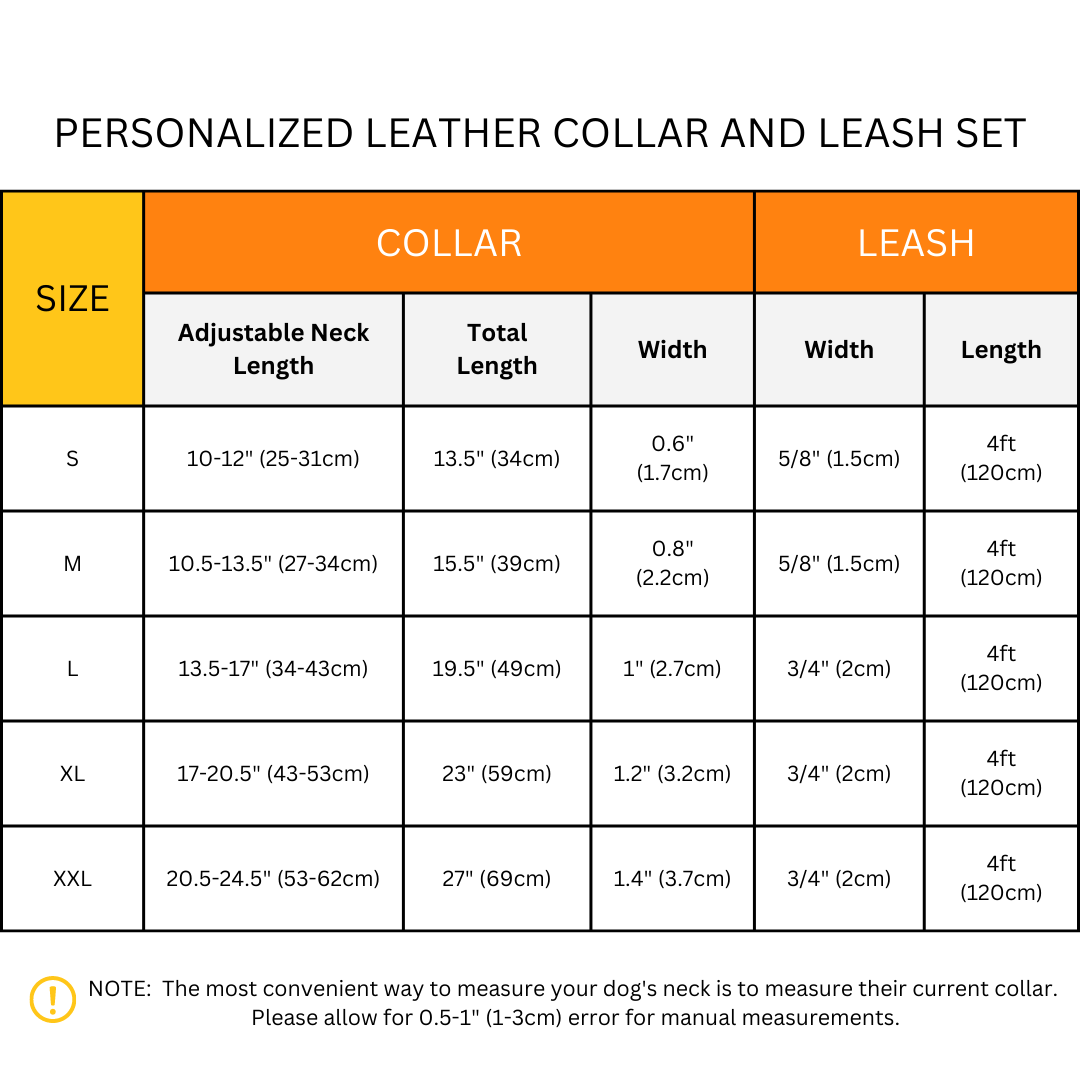 Personalized Leather Dog Collar and Leash-Fuchsia