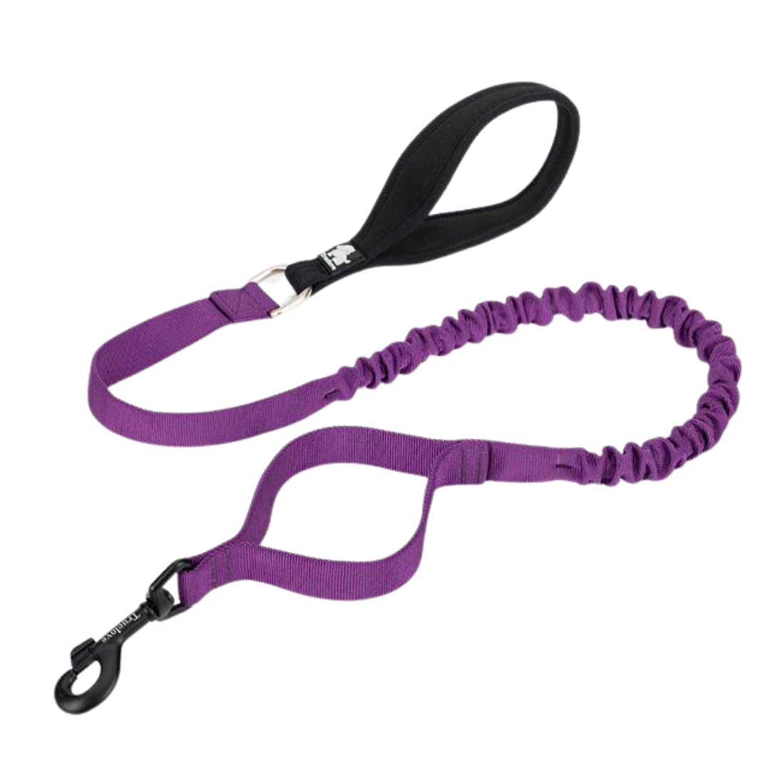 Licol de tête Racing-Tack – Dave Wilson Equine Sports Licol de tête Racing-Tack – Dave Wilson Equine Sports