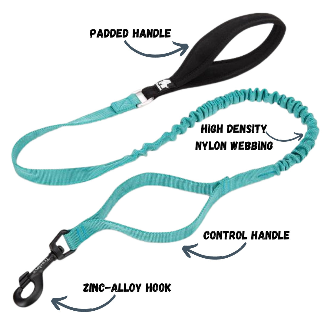Rainy Days Leash-Baltic