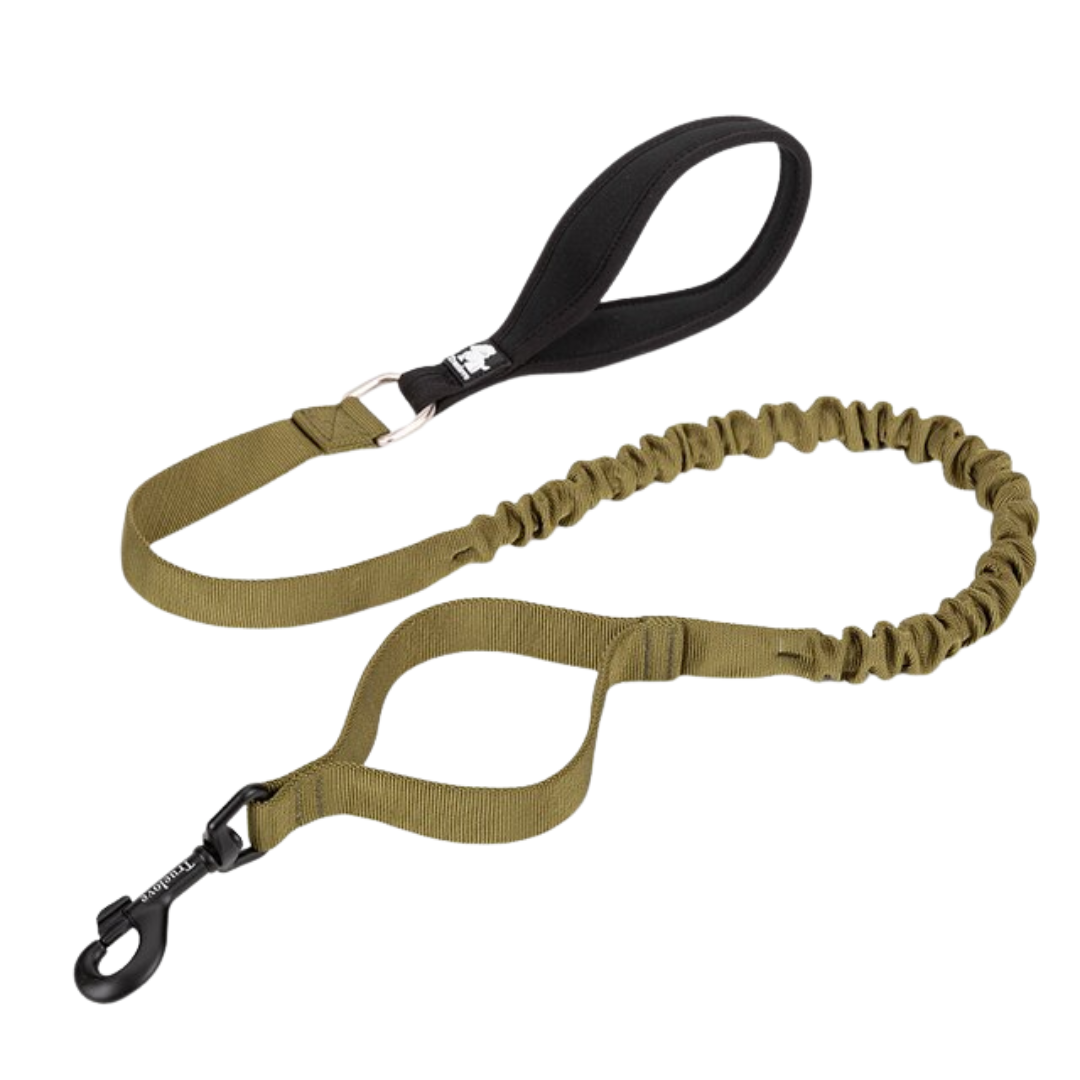 Rainy Days Leash-Olive