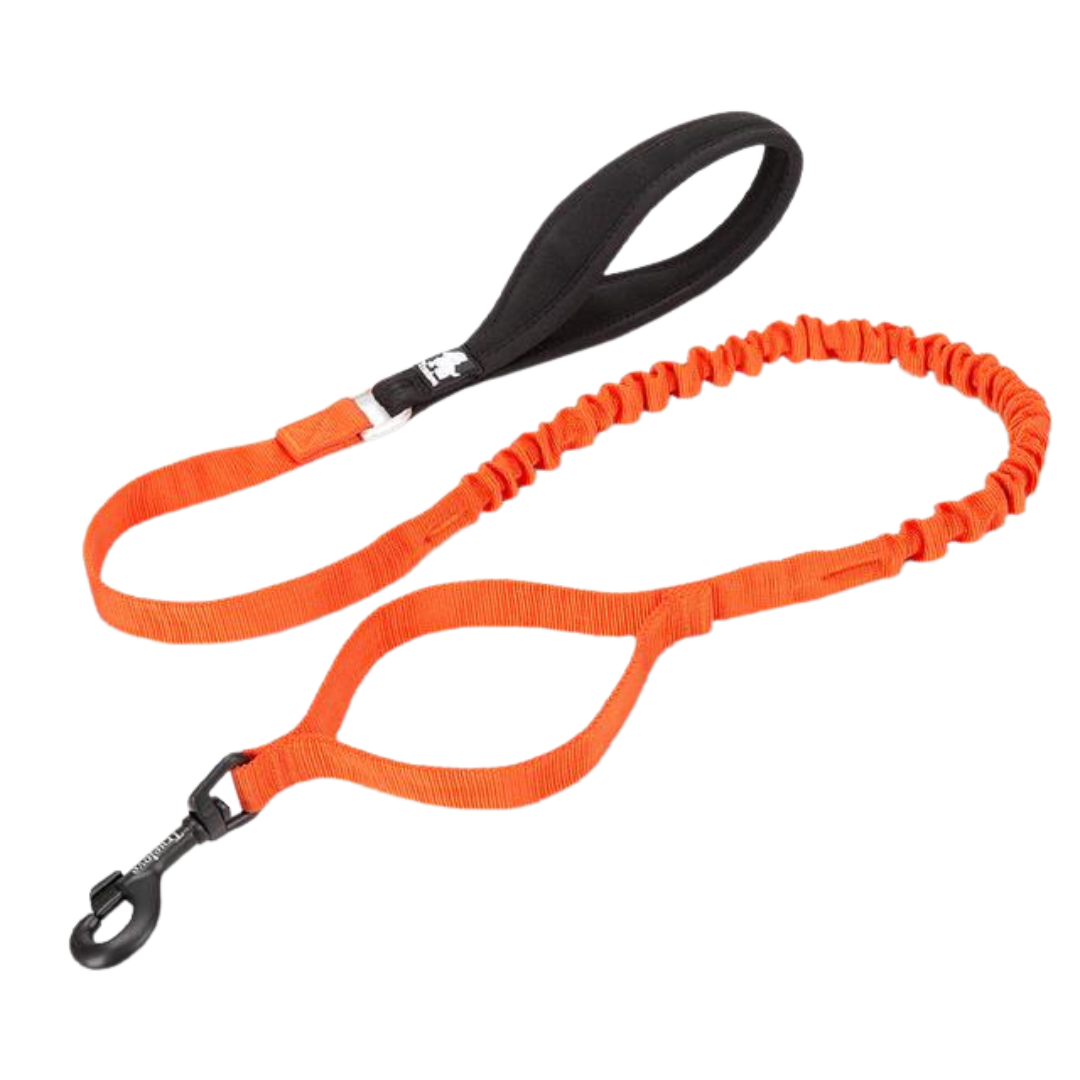 Rainy Days Leash-Sweet Orange