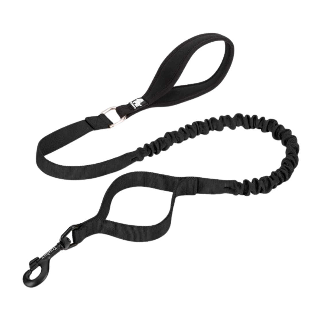 Rainy Days Leash-Black
